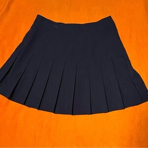 The Look  Navy Blue Pleated Polyester skirt